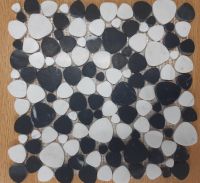 Aphrodite Panda Honed 12 x 12 Aphrodite Panda Honed 12 x 12